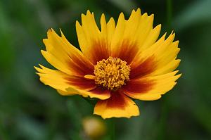 2025-07059401 River Bend Farm, MA